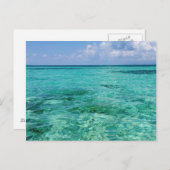 ベリーズ、スタンクリーク、サウスウォーターケイ ポストカード (正面/裏面)