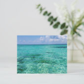 ベリーズ、スタンクリーク、サウスウォーターケイ ポストカード (スタンド正面)