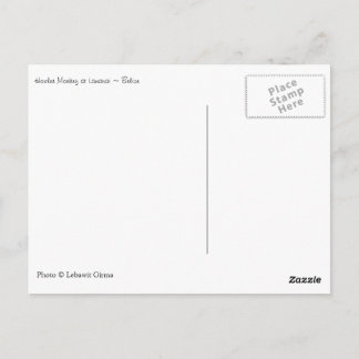 ベリーズ・ハウラー・モンキー ポストカード