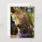 ベリーズ – ベルゼアンジュングルス –  ポストカード (正面/裏面)