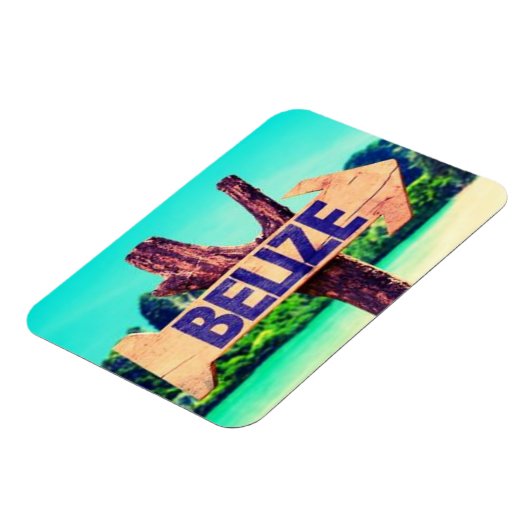 ベリーズ マグネット (左側)