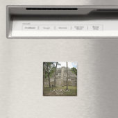 ベリーズ・ラマナイのマヤ遺跡 マグネット (インサイチュ (食洗機))