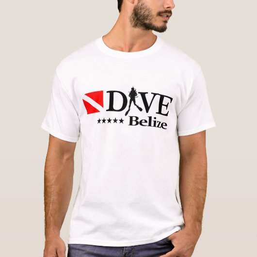 ベリーズDV4 Tシャツ (正面)