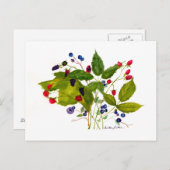 ベリーハガキ ポストカード (正面/裏面)