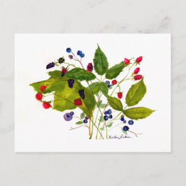 ベリーハガキ ポストカード