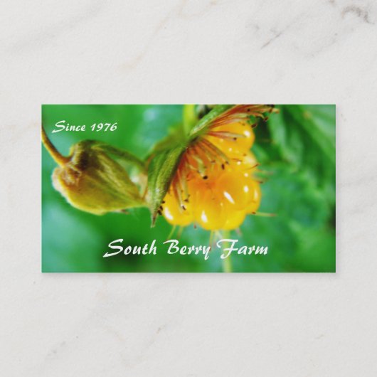 ベリーファームの名刺 名刺 (正面)