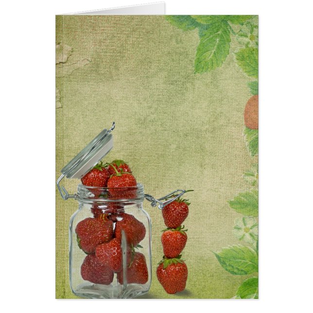 ベリーフレッシュ (正面)