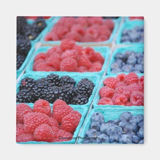 ベリーマグネット マグネット (正面)