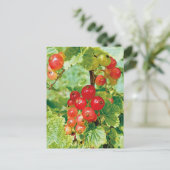 ベリーレッドカラント葉書 ポストカード (スタンド正面)