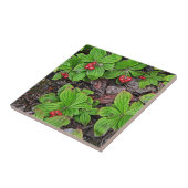 ベリー付きバンクベリー タイル (側面)