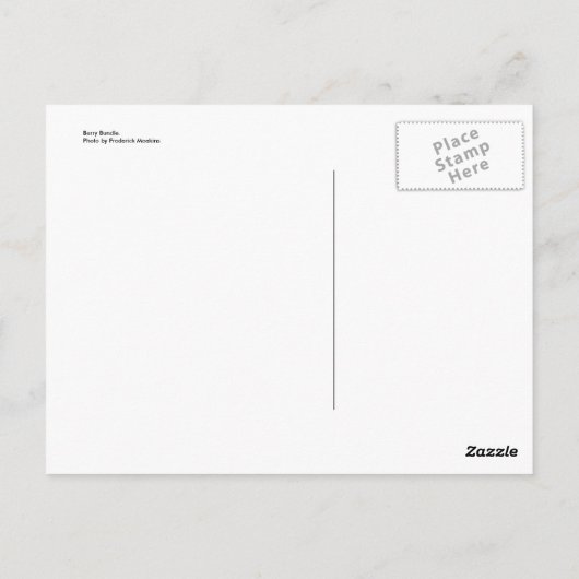 ベリー束 ポストカード (裏面)