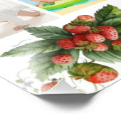 ベリー第1誕生日12ヶ月ベビーフォトコラージュ フォトプリント            (角)