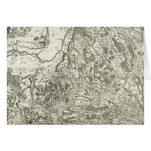 ベリー (正面横)