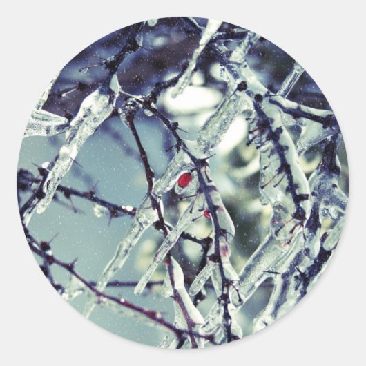 ベリ凍っていーのシール ラウンドシール (正面)