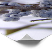 ベリ凍っていー ポスター (角)