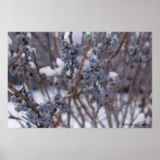 ベリ凍っていー ポスター