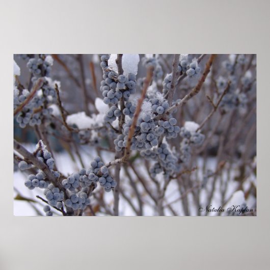 ベリ凍っていー ポスター (正面)