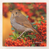 ベリ素晴らしーブッシュのエルミットツグシュ ガラスコースター (正面)