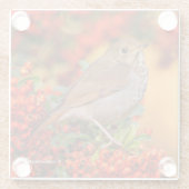 ベリ素晴らしーブッシュのエルミットツグシュ ガラスコースター (裏面)