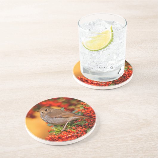 ベリ素晴らしーブッシュのエルミットツグシュ コースター (側面)