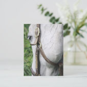 ベルのスターレットポストカード ポストカード (スタンド正面)