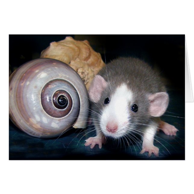 ベルの呪文！ (正面横)