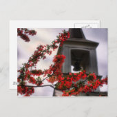 ベルの花オールドリンチバーグバージニア墓地 ポストカード (正面/裏面)