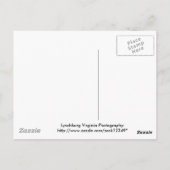 ベルの花オールドリンチバーグバージニア墓地 ポストカード (裏面)