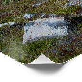 ベルアイランドニューファンドランド ポスター (コーナー)