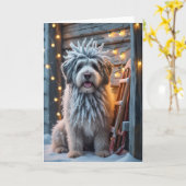 ベルガマスコシェプドッグ犬クリスマスグリーティングカード カード (黄色い花)