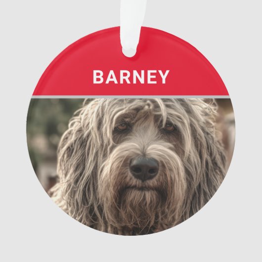 ベルガマスコ犬の名前と写真クリスマス オーナメント (正面)