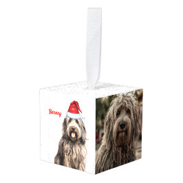 ベルガマスコ犬の名前2つの写真クリスマスホリデー キューブオーナメント