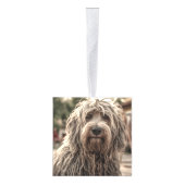 ベルガマスコ犬の名前2つの写真クリスマスホリデー キューブオーナメント (右)