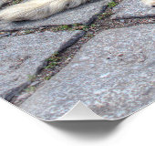 ベルガーデピカルディ ポスター (コーナー)