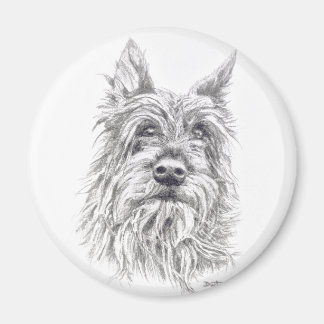 ベルガーピカード磁石 マグネット