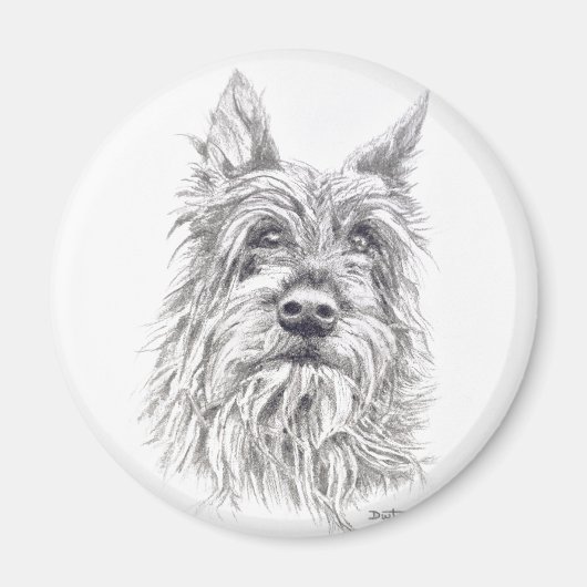 ベルガーピカード磁石 マグネット (正面)