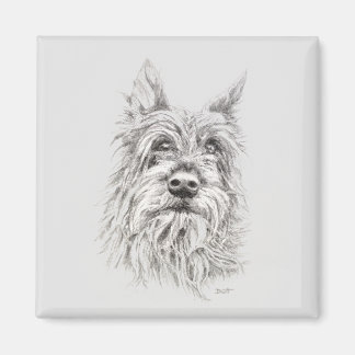 ベルガーピカード磁石 マグネット