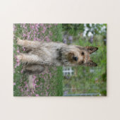 ベルガーピカード ジグソーパズル (横)