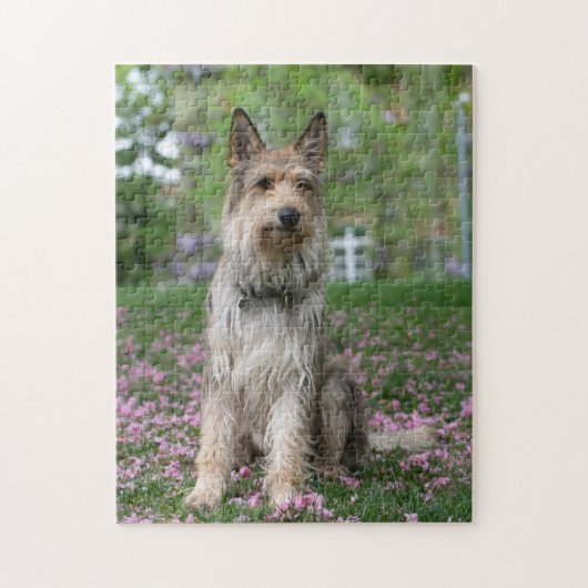 ベルガーピカード ジグソーパズル (縦)