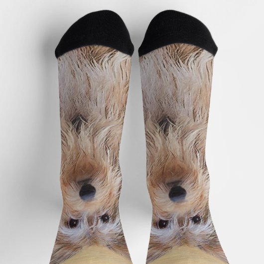 ベルガー絵画ピカードの可愛いオリジナルドッグアート ソックス (上部)