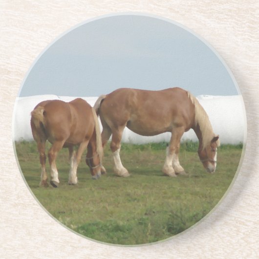 ベルギアン コースター (正面)