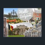 ベルギーからこんにちは ポストカード<br><div class="desc">Hello from Belgiumはがき私は私の店にこのような他のポストカードをたくさん持っている：)</div>