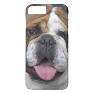 ベルギーにいるイングリッシュ・ブルドッグ iPhone 8 PLUS/7 PLUSケース