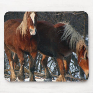 ベルギーのばん馬のマウスパッド マウスパッド