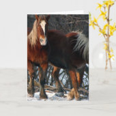 ベルギーのばん馬の挨拶状 カード (黄色い花)