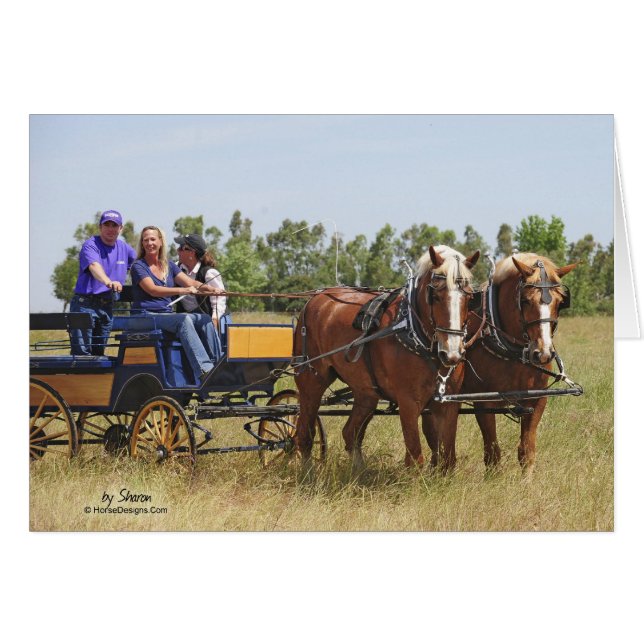 ベルギーのばん馬ワゴン (正面横)