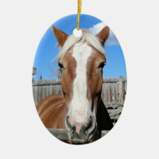 ベルギーのばん馬 セラミックオーナメント