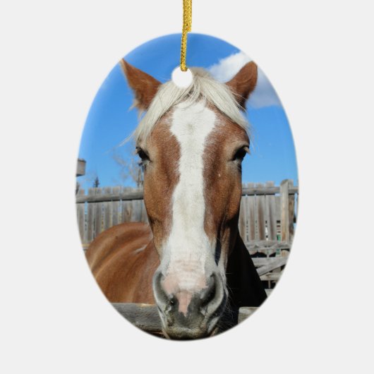 ベルギーのばん馬 セラミックオーナメント (正面)