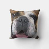 ベルギーのイギリスのブルドッグ。 クッション (裏面)