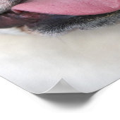 ベルギーのイギリスのブルドッグ。 ポスター (角)